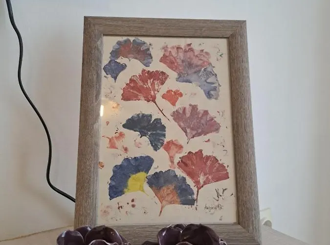 Hana Appartamento Podgorica